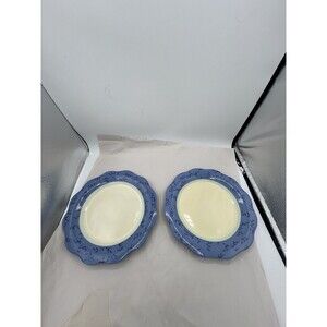 MINT Set of (2) Pfaltzgraff Summer Breeze Salad Plates 8-7/8” Scalloped Edge